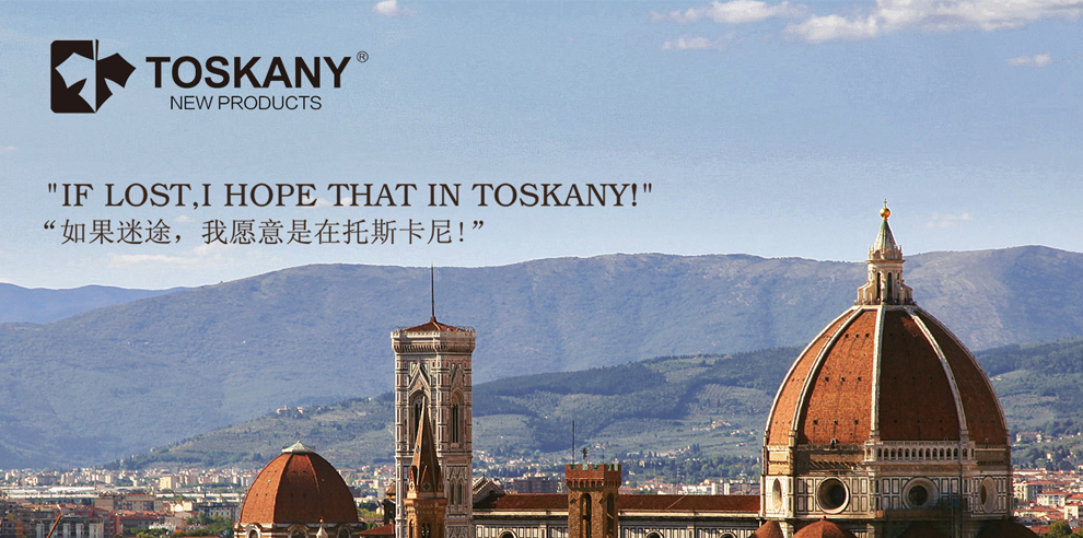 toskany托斯卡尼商务公文包男士手提包牛皮斜挎包男潮包单肩包男tl